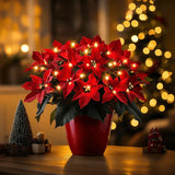 Strahlende Rubin-Weihnachtsstern